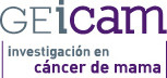 Logo Geicam