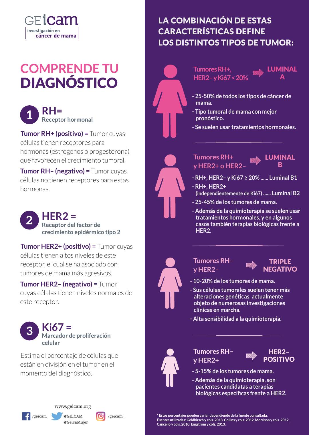 Afilar ola Artificial Tipos de tumores de mama | GEICAM - Investigación en cáncer de mama